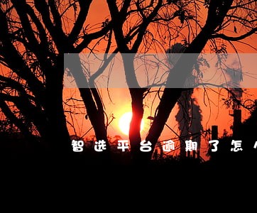 智选平台逾期了怎么办 智选平台逾期了怎么办