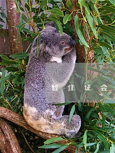 暂住证会查以前的违法记录吗 暂住证会查以前的违法记录吗