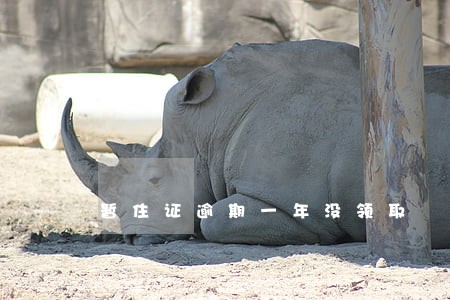 暂住证逾期一年没领取 暂住证逾期一年没领取