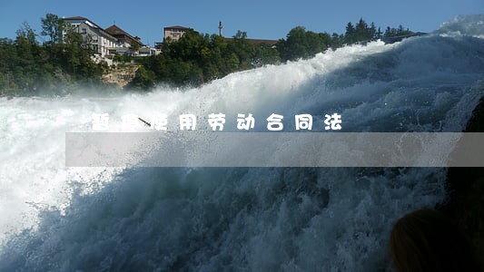 暂停使用劳动合同法