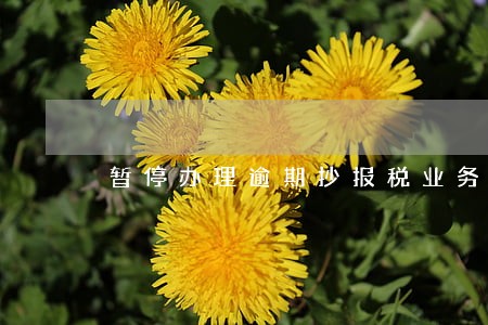 暂停办理逾期抄报税业务 暂停办理逾期抄报税业务