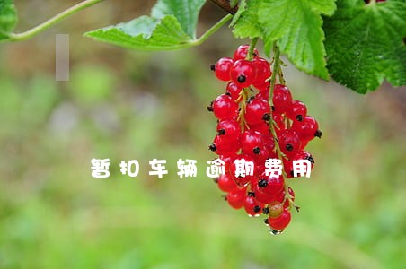 暂扣车辆逾期费用