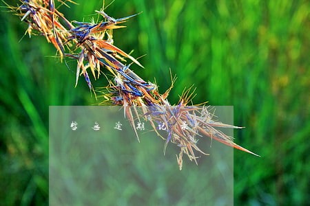 暂无逾期记录 暂无逾期记录