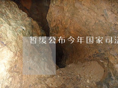 暂缓公布今年国家司法考试时间 暂缓公布今年国家司法考试时间