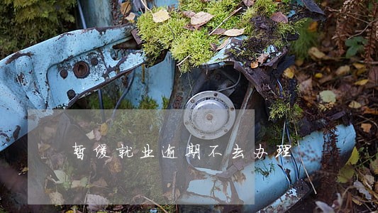 暂缓就业逾期不去办理 暂缓就业逾期不去办理