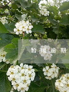 暂缓逾期不取消会怎么样 暂缓逾期不取消会怎么样