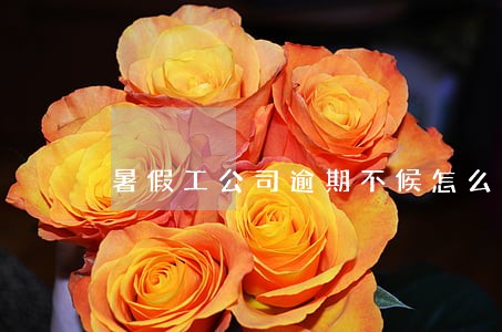 暑假工公司逾期不候怎么投诉 暑假工公司逾期不候怎么投诉