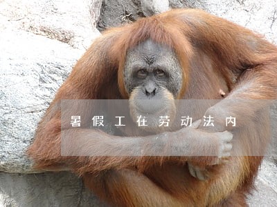 暑假工在劳动法内 暑假工在劳动法内