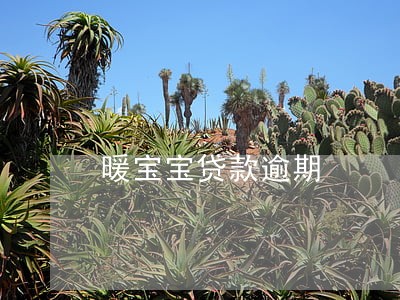 暖宝宝贷款逾期 暖宝宝贷款逾期
