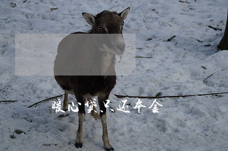 暖心贷只还本金 暖心贷只还本金