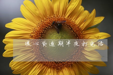 暖心贷逾期半夜打电话 暖心贷逾期半夜打电话
