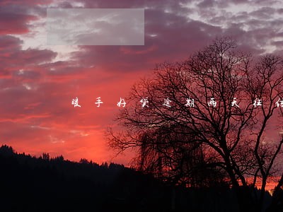 暖手好贷逾期两天征信 暖手好贷逾期两天征信