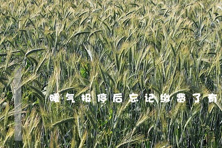 暖气报停后忘记缴费了有逾期费吗 暖气报停后忘记缴费了有逾期费吗