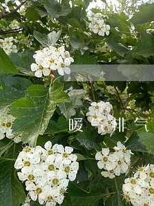 暖气排气阀溢水违法吗 暖气排气阀溢水违法吗