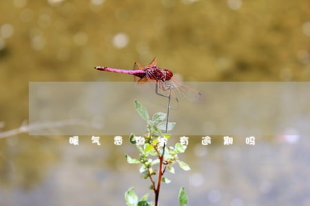 暖气费缴纳有逾期吗 暖气费缴纳有逾期吗