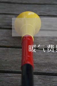 暖气费缴费逾期无法缴纳 暖气费缴费逾期无法缴纳