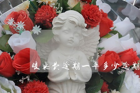 暖气费逾期一年多少逾期费 暖气费逾期一年多少逾期费