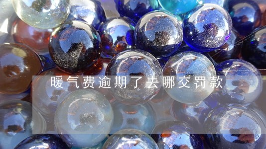 暖气费逾期了去哪交罚款 暖气费逾期了去哪交罚款
