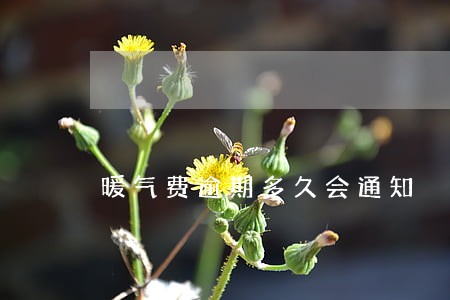 暖气费逾期多久会通知