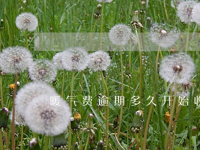暖气费逾期多久开始收滞纳金
