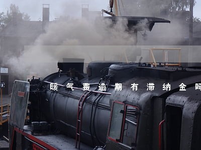暖气费逾期有滞纳金吗