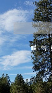 暖气费逾期未交停暖还要缴费吗 暖气费逾期未交停暖还要缴费吗