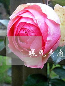 暖气费逾期未交收取滞纳金怎么办