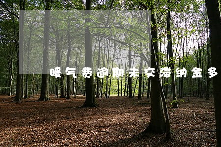 暖气费逾期未交滞纳金多少钱 暖气费逾期未交滞纳金多少钱