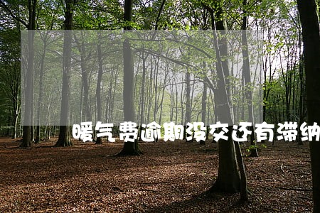 暖气费逾期没交还有滞纳金 暖气费逾期没交还有滞纳金