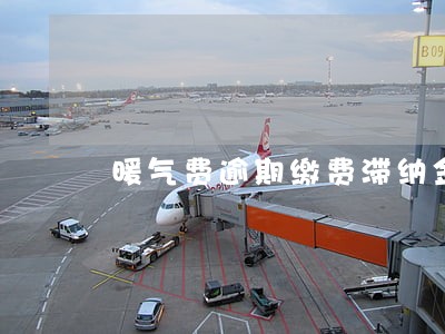 暖气费逾期缴费滞纳金 暖气费逾期缴费滞纳金