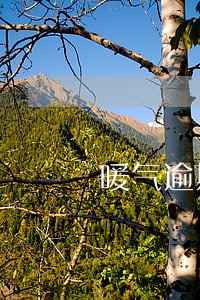 暖气逾期交费申请 暖气逾期交费申请