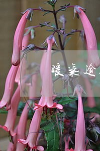 暖气逾期办理空置房 暖气逾期办理空置房