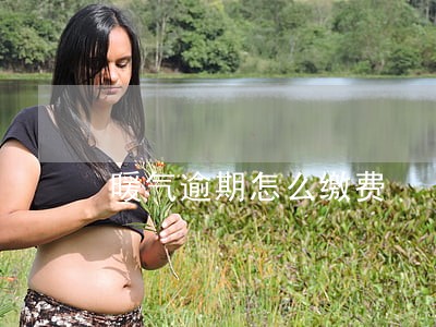 暖气逾期怎么缴费 暖气逾期怎么缴费