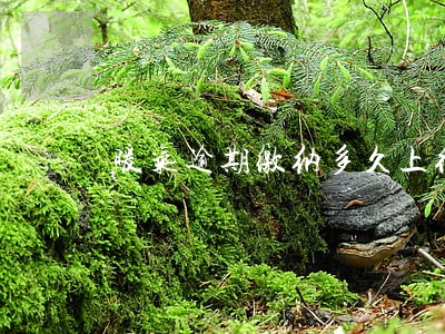 暖气逾期缴纳多久上征信 暖气逾期缴纳多久上征信
