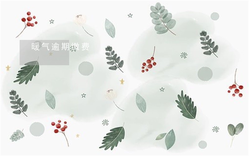 暖气逾期缴费 暖气逾期缴费