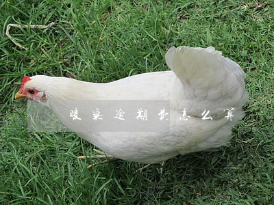 暖气逾期费怎么算 暖气逾期费怎么算