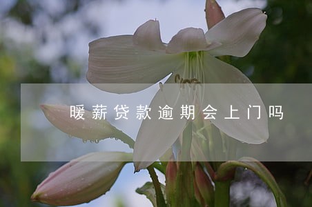 暖薪贷款逾期会上门吗 暖薪贷款逾期会上门吗