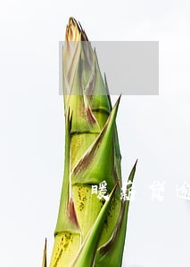 暖薪贷逾期三个月 暖薪贷逾期三个月