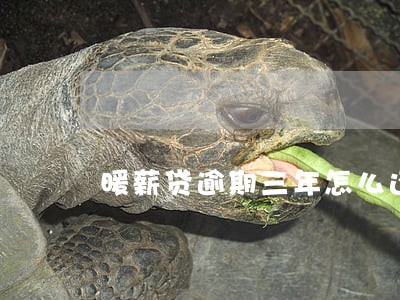 暖薪贷逾期三年怎么还款 暖薪贷逾期三年怎么还款