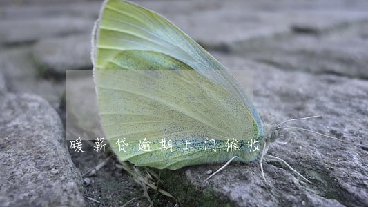 暖薪贷逾期上门催收 暖薪贷逾期上门催收