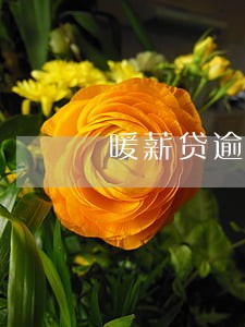 暖薪贷逾期不给协商 暖薪贷逾期不给协商