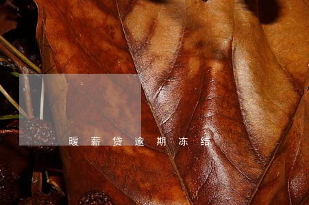 暖薪贷逾期冻结