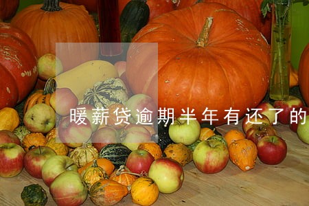 暖薪贷逾期半年有还了的嘛