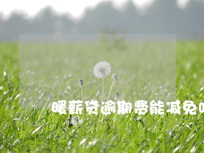 暖薪贷逾期费能减免吗 暖薪贷逾期费能减免吗
