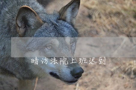 暗访法院上班迟到 暗访法院上班迟到
