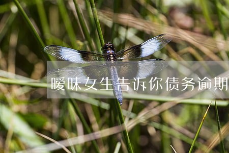 暧昧女生告诉你债务逾期 暧昧女生告诉你债务逾期