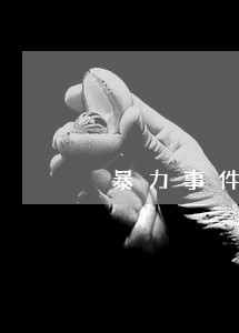 暴力事件的法律条文
