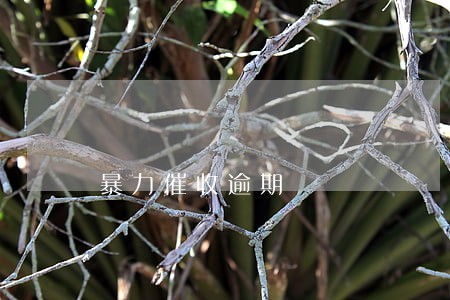 暴力催收逾期 暴力催收逾期