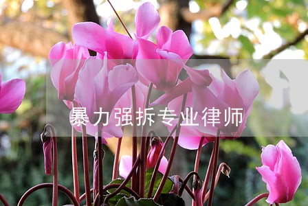 暴力强拆专业律师 暴力强拆专业律师