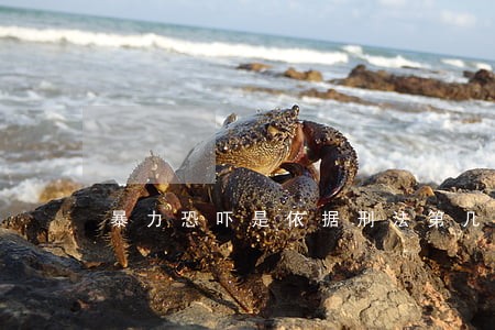 暴力恐吓是依据刑法第几条 暴力恐吓是依据刑法第几条
